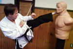 Martial arts photo